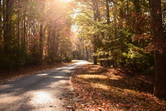 Hit the Road: Memorable Road Trips from Tullahoma, TN to Explore the Surrounding Beauty